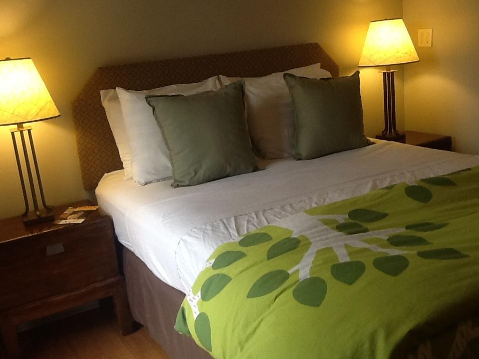 Zenyard Guest House Phoenix Pokoj fotografie